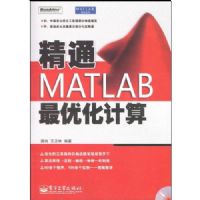 ��ͨMATLAB���Ż�����