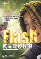 Flash CS3��վ�������(������1��)��ȫ�ʣ�