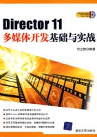 DIRECTOR11��ý�忪��������ʵս