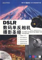 DSLR���뵥�������Ӱʥ��