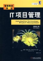 IT��Ŀ����