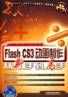 FLASH CS3�������������ֵ�����