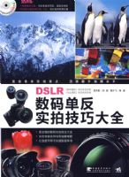 DSLR���뵥��ʵ�ļ��ɴ�ȫ