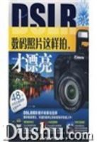 DSIR������Ƭ�����Ĳ�Ư��(����DVD����1��)