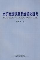 ����������·ϵͳ�Ż��о�