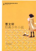 �����Ķ���ֵ���й���ͯ��ѧ.���Ҷ�ƪС˵�� ��������������С˵