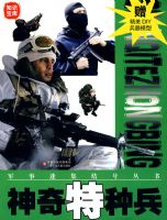 �����Լ���Ŵ��飺�������ֱ���������DIY����ģ�ͣ�