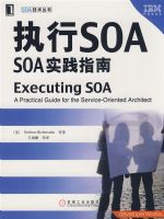 ִ��SOA SOAʵ��ָ��