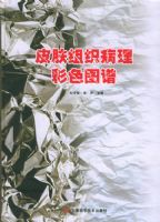 Ƥ����֯������ɫͼ��