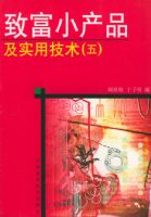 �鸻С��Ʒ��ʵ�ü������壩