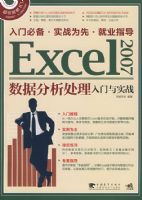 EXCEL2007���ݷ�������������ʵս