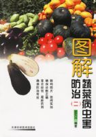 ͼ���߲˲��溦����(��)