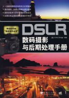 DSLR������Ӱ����ڴ����ֲ�