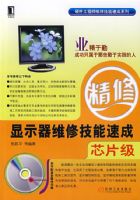 ��ʾ��ά�޼����ٳɣ�оƬ����