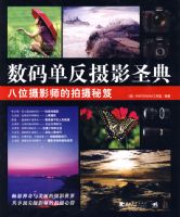 ���뵥����Ӱʥ���λ��Ӱʦ����������