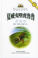 �����صĹ���----�����ıڻ�³³������