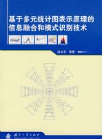 ���ڶ�Ԫͳ��ͼ��ʾԭ������Ϣ�ںϺ�ģʽʶ����