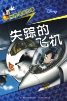 ����̽�����¡���ʧ�ٵķɻ�