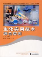 ����ʵ�ü����ۺ�ʵѵ