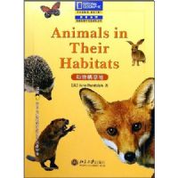 ������Ϣ��