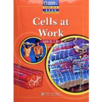 ϸ���ڹ���