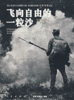 �������ɵ�һ��ɳ