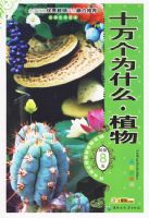 �����¿α�-ʮ���Ϊʲô.ֲ��