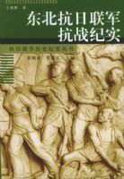 ��������������ս��ʵ��������ս����ʷ��ʵ����