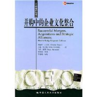 �����е���ҵ�Ļ�����(CEO������֪���)