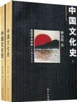 �й��Ļ�ʷ��ȫ���ᣩ