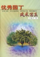 ����԰�������д��