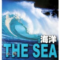 ����(�������)(��)