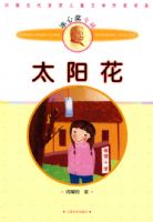 ̫����  ��88��