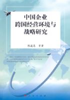 �й���ҵ�����Ӫ������ս���о�