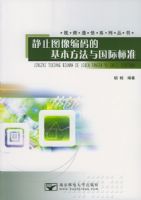 ��ֹͼ�����Ļ�����������ʱ�׼