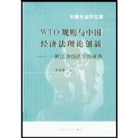 �����귨ѧ�Ŀ⡪�� WTO�������й����÷����۴���