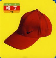 �Ǳ�����������