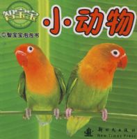 �Ǳ�����С����