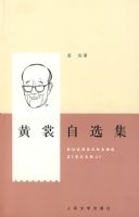 ������ѡ��