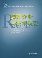 ��������뼼���淶