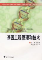 ���򹤳�ԭ���ͼ���