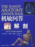 �����ʴ� ����