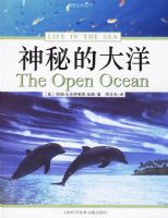 ���صĴ���