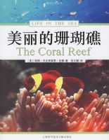 ������ɺ��������������������