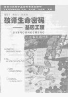 ������������:���򹤳�