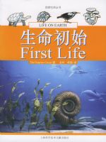 ������ʼ����������������