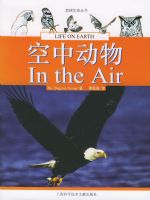 ���ж����������������