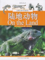 ½�ض����������������