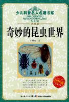 �ٶ���������������ϵ���������������