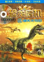 ����Σ��4����ʹʧ����ʯ�������̣�